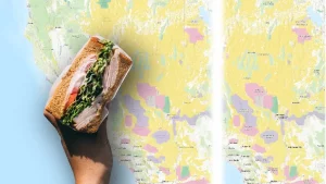 Sandwich Map ArcGIS Basemap