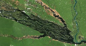 Las imágenes satelitales y los GIS resuelven un misterio de deforestación