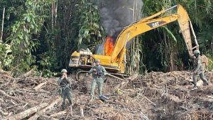 Cómo la inteligencia en tiempo real está desmantelando las redes de delitos ambientales en la Amazonía